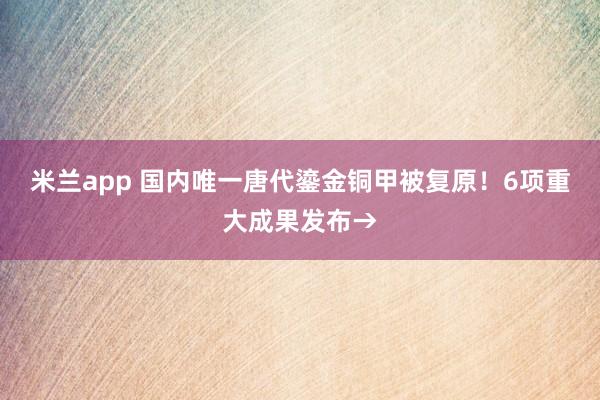 米兰app 国内唯一唐代鎏金铜甲被复原！6项重大成果发布→