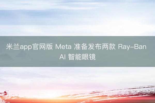 米兰app官网版 Meta 准备发布两款 Ray-Ban AI 智能眼镜