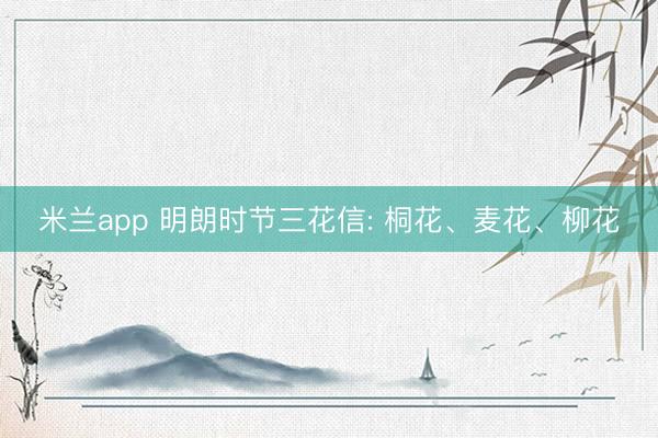米兰app 明朗时节三花信: 桐花、麦花、柳花