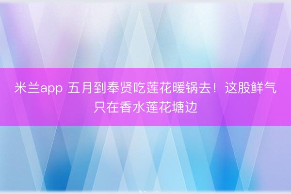 米兰app 五月到奉贤吃莲花暖锅去！这股鲜气只在香水莲花塘边