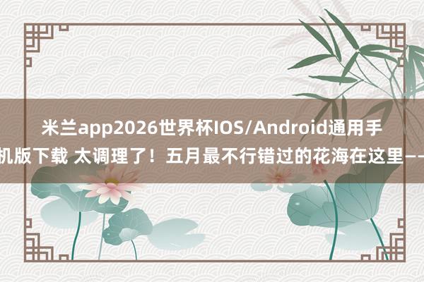 米兰app2026世界杯IOS/Android通用手机版下载 太调理了！五月最不行错过的花海在这里——