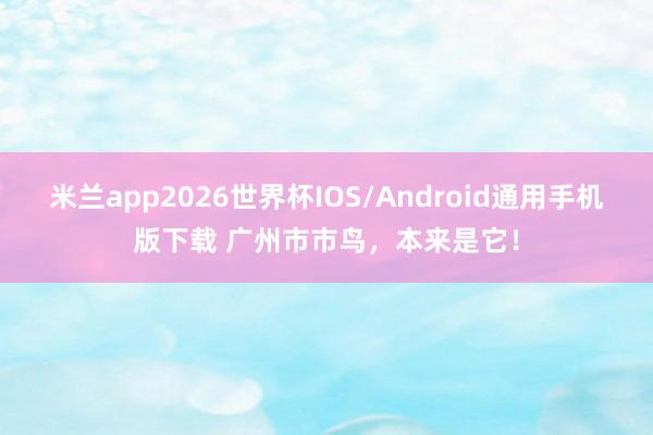 米兰app2026世界杯IOS/Android通用手机版下载 广州市市鸟，本来是它！