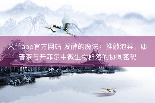 米兰app官方网站 发酵的魔法：推敲泡菜、康普茶与开菲尔中微生物群落的协同密码